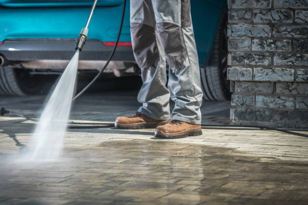 Best Driveway Cleaning and Restoration in Coats, NC