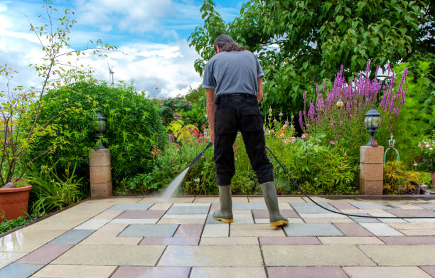 Best Parking Lot Cleaning in Coats, NC